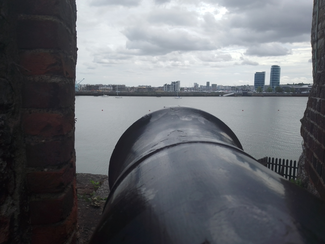 Cannon view