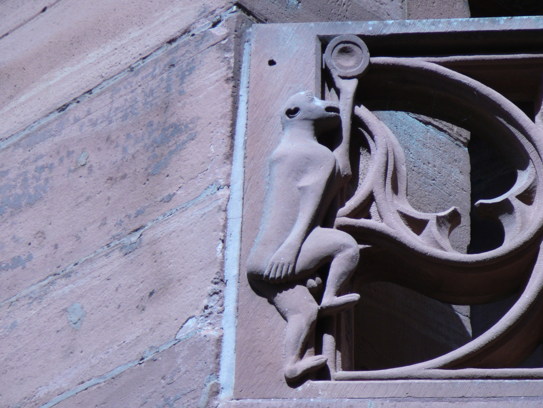 Hodenaffe bei der Kilianskapelle