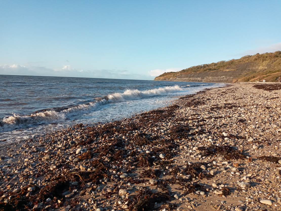 Beach in Lyme Regis