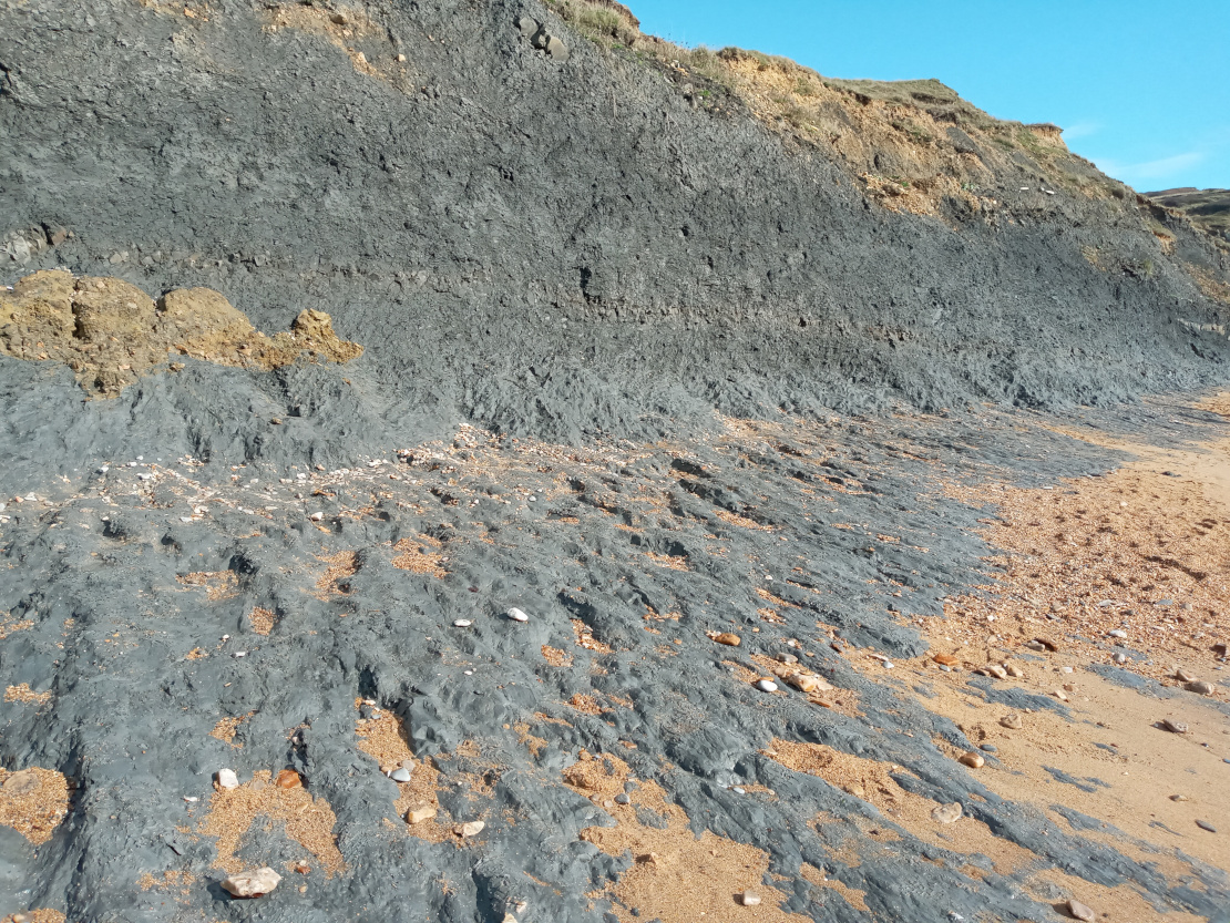 Rockside in Charmouth