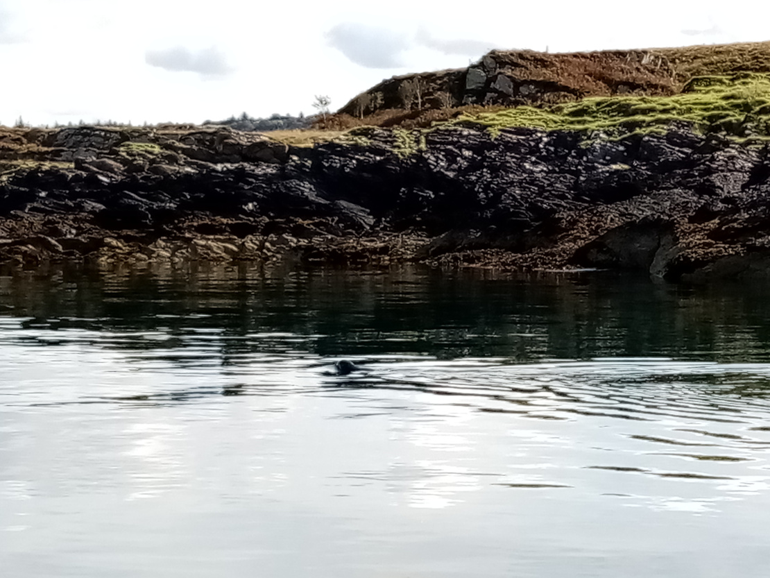 seal passing