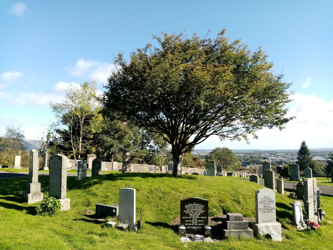 Grabsteine um Baum