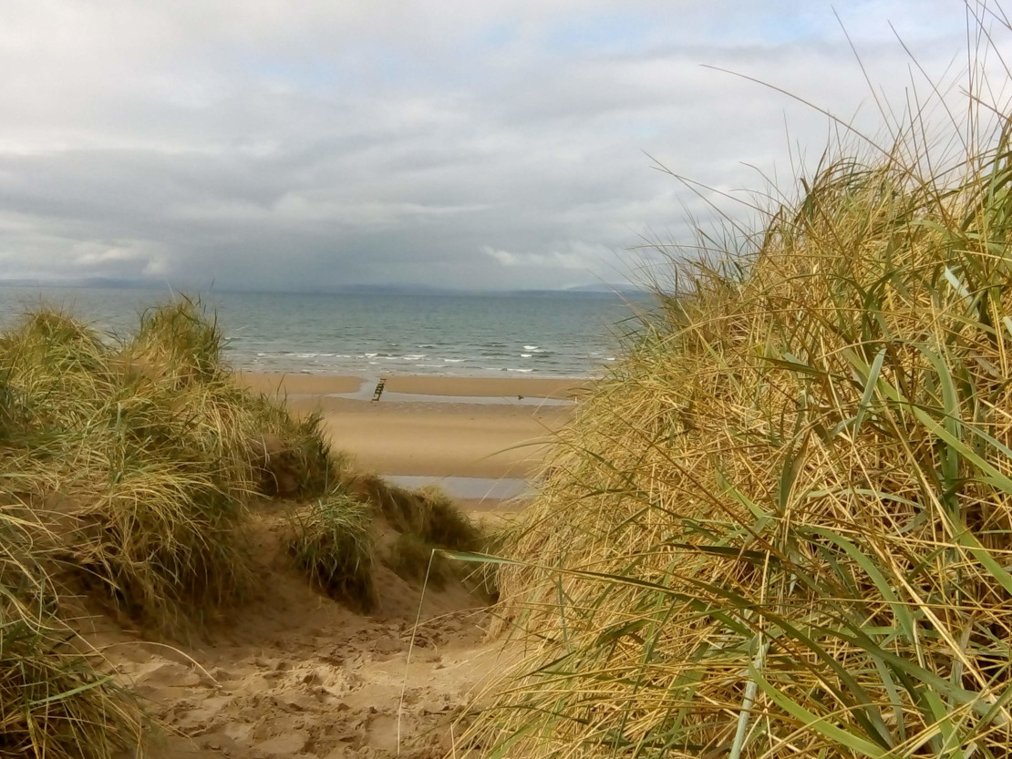 Sanddunes with a view of the sea