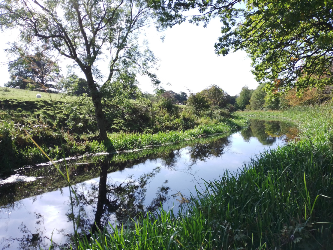 Union canal by Linlithgow