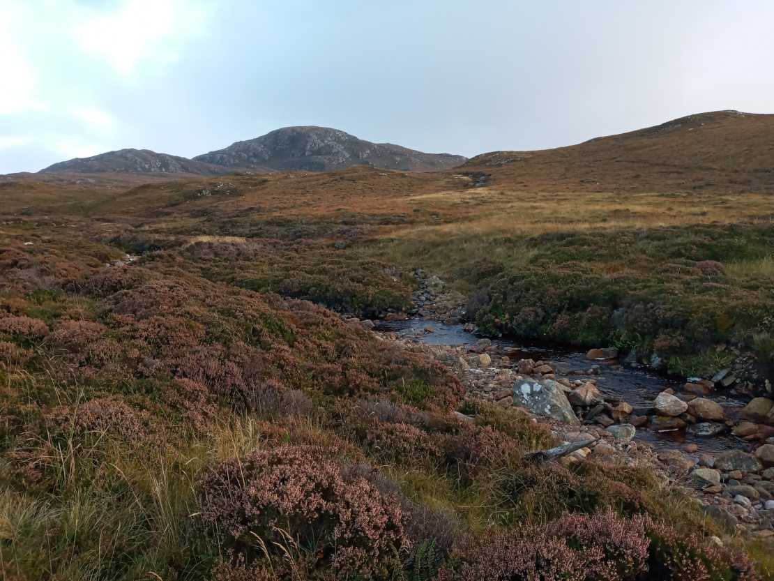 Creek and Hills
