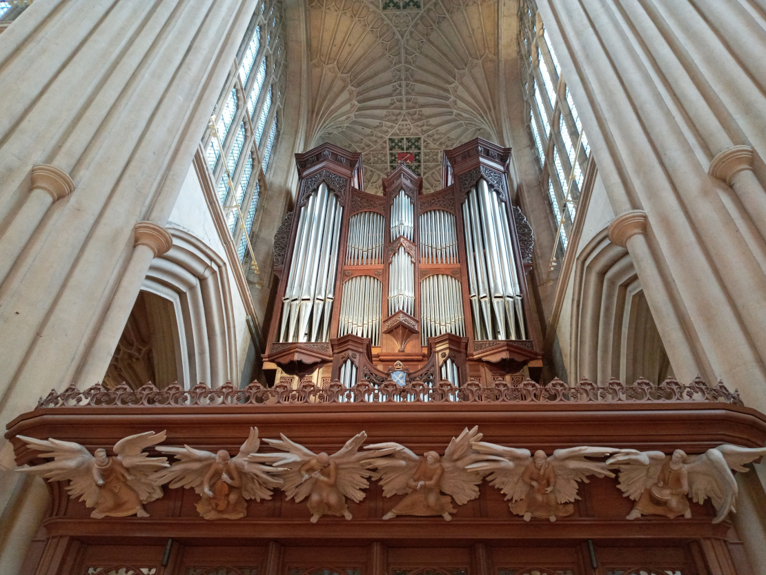 Organ